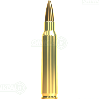 Sellier&Bellot .223 Rem. FMJ 69gr/4,5g 100 vnt. 1