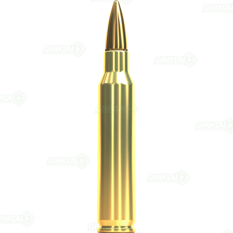 Sellier&Bellot .223 Rem. FMJ 69gr/4,5g 100 vnt. 1