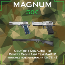 Šaudymo programa Magnum