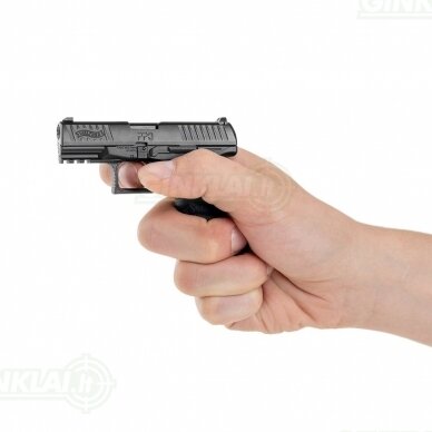Modelis Walther PPQ, 1:2 dydžio