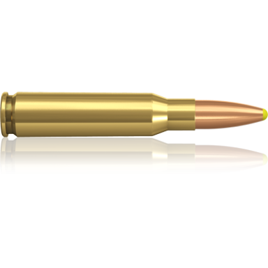 Norma 308 Win Plastic Point 11,7g