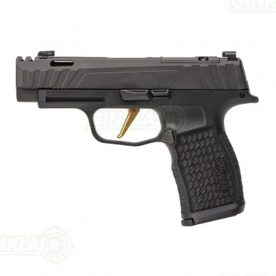 Pistoletas Sig Sauer P365 XL Spectre Comp, 9x19