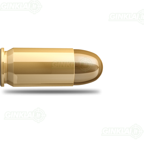 Pistoletiniai šoviniai Sellier&Bellot .45 ACP FMJ 14,9g 50 vnt. 1 Pistoletiniai šoviniai Sellier&Bellot .45 ACP FMJ 14,9g 50 vnt. 1