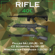 Šaudymo programa  Rifle