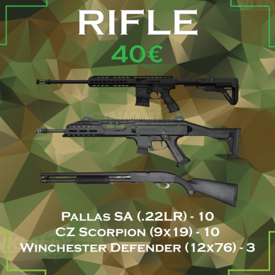 Šaudymo programa  Rifle