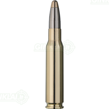 RWS 308 Win EVO 11,9g