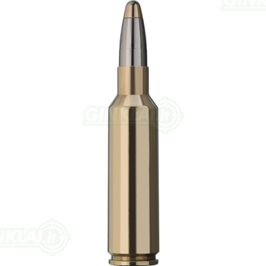 RWS 300 WSM EVO 11,9g