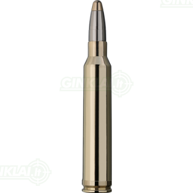 RWS 300 Win Mag EVO 11,9g