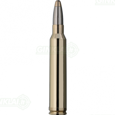 RWS 300 Win Mag EVO 11,9g 1 RWS 300 Win Mag EVO 11,9g 1