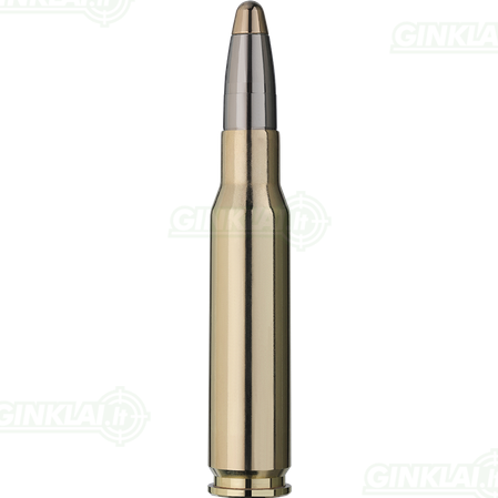 RWS 308 Win EVO 11,9g 1
