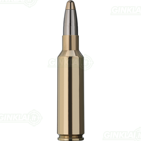 RWS 300 WSM EVO 11,9g 1