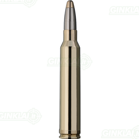 RWS 300 Win Mag EVO 11,9g 1 RWS 300 Win Mag EVO 11,9g 1
