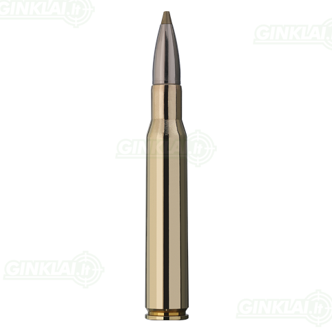 RWS 30-06 Spr EVO GREEN 8,8g 1