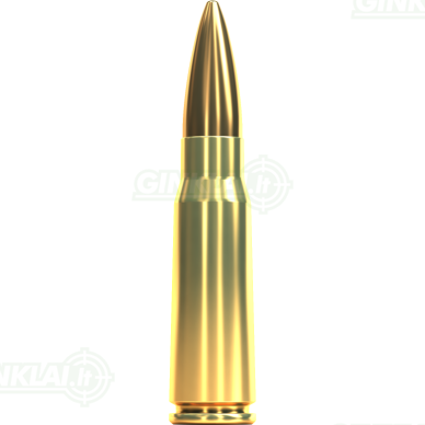 Sellier&Bellot 7,62x39 FMJ 124gr/8g 50vnt. 1 Sellier&Bellot 7,62x39 FMJ 124gr/8g 50vnt. 1