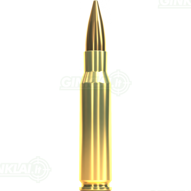 Sellier&Bellot .308 Win. FMJ 180gr, 11,7g 50 vnt. 1 Sellier&Bellot .308 Win. FMJ 180gr, 11,7g 50 vnt. 1