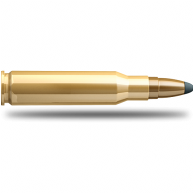 Sellier&Bellot .308 WIN. SPCE 11,7 g 1 Sellier&Bellot .308 WIN. SPCE 11,7 g 1