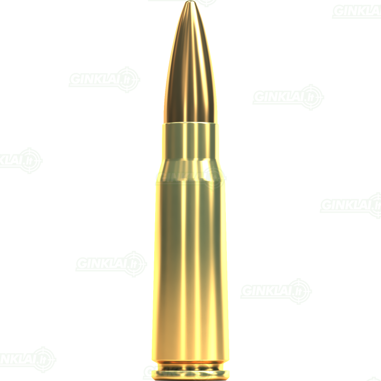 Sellier&Bellot 7,62x39 FMJ 124gr/8g 50vnt. 1 Sellier&Bellot 7,62x39 FMJ 124gr/8g 50vnt. 1