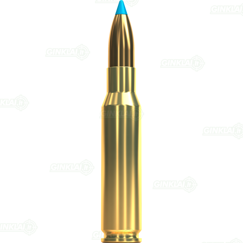 Sellier&Bellot .308 Win. TXRG Blue 10,7 g 1 Sellier&Bellot .308 Win. TXRG Blue 10,7 g 1