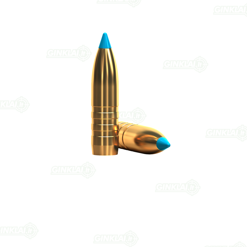 Sellier&Bellot .308 Win. TXRG Blue 10,7 g 2 Sellier&Bellot .308 Win. TXRG Blue 10,7 g 2