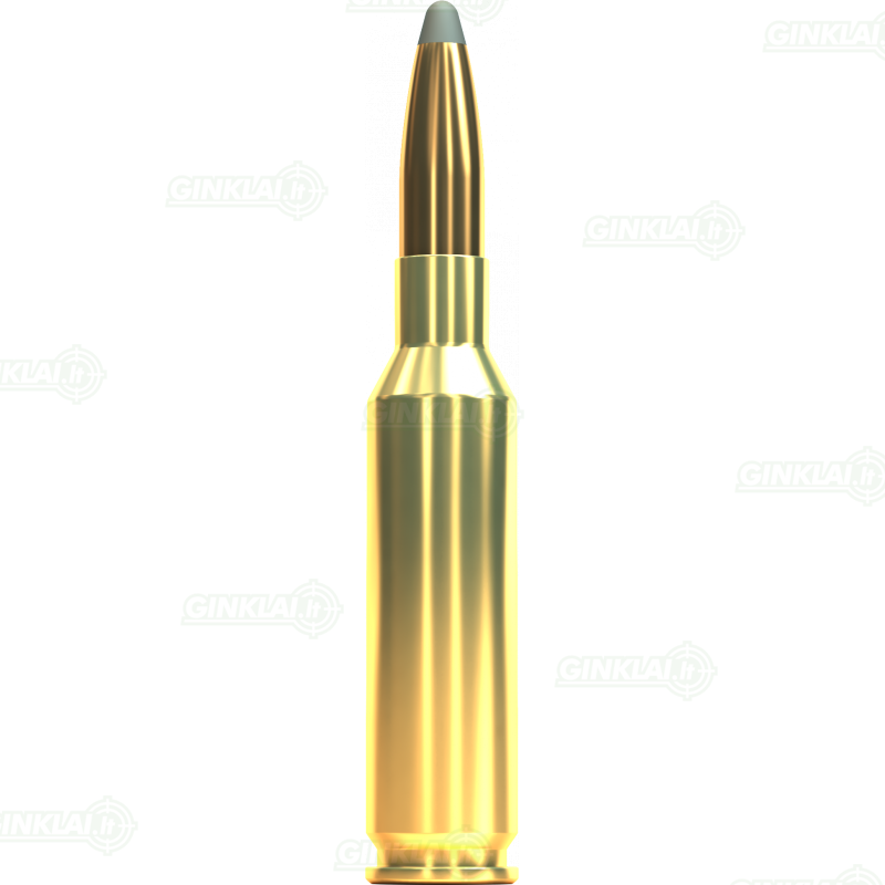 Sellier&Bellot 6,5 Creedmoor SP 8,5 g 1 Sellier&Bellot 6,5 Creedmoor SP 8,5 g 1