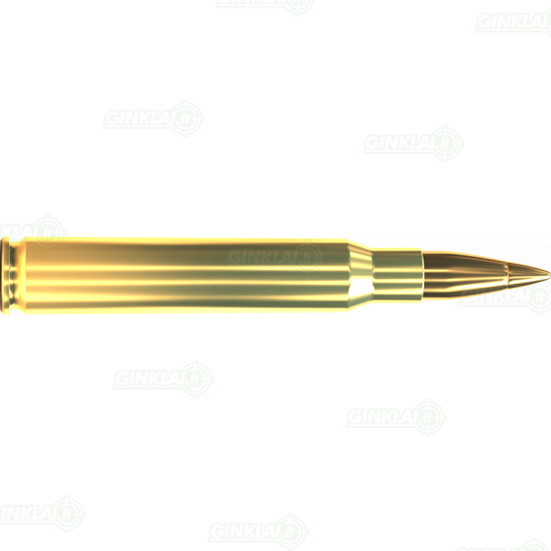 Sellier&Bellot .30-06 Spr HPC 11,7 g 1 Sellier&Bellot .30-06 Spr HPC 11,7 g 1