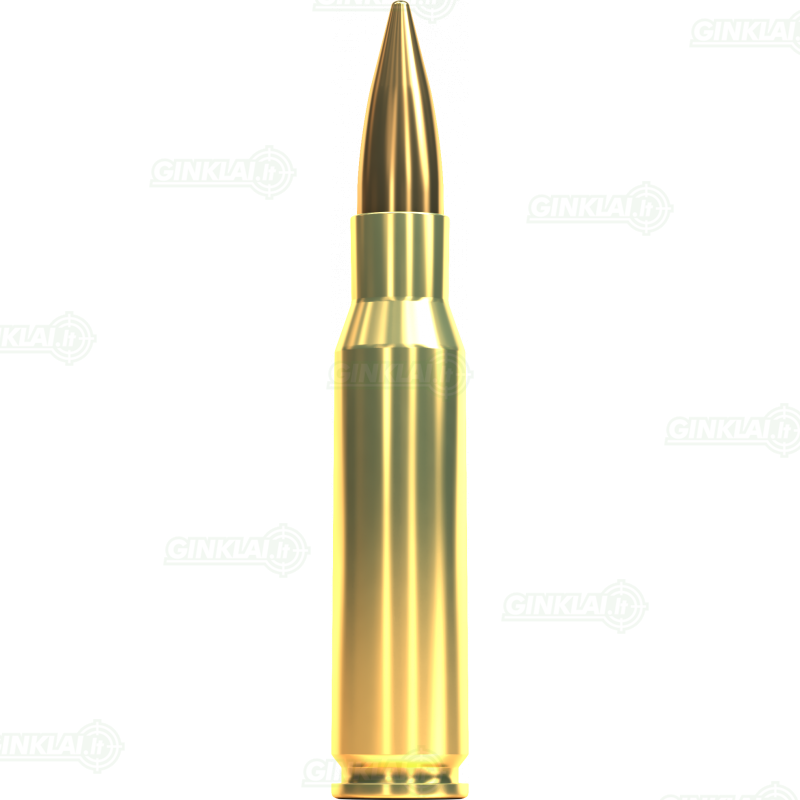 Sellier&Bellot .308 Win. FMJ 180gr, 11,7g 50 vnt. 1 Sellier&Bellot .308 Win. FMJ 180gr, 11,7g 50 vnt. 1