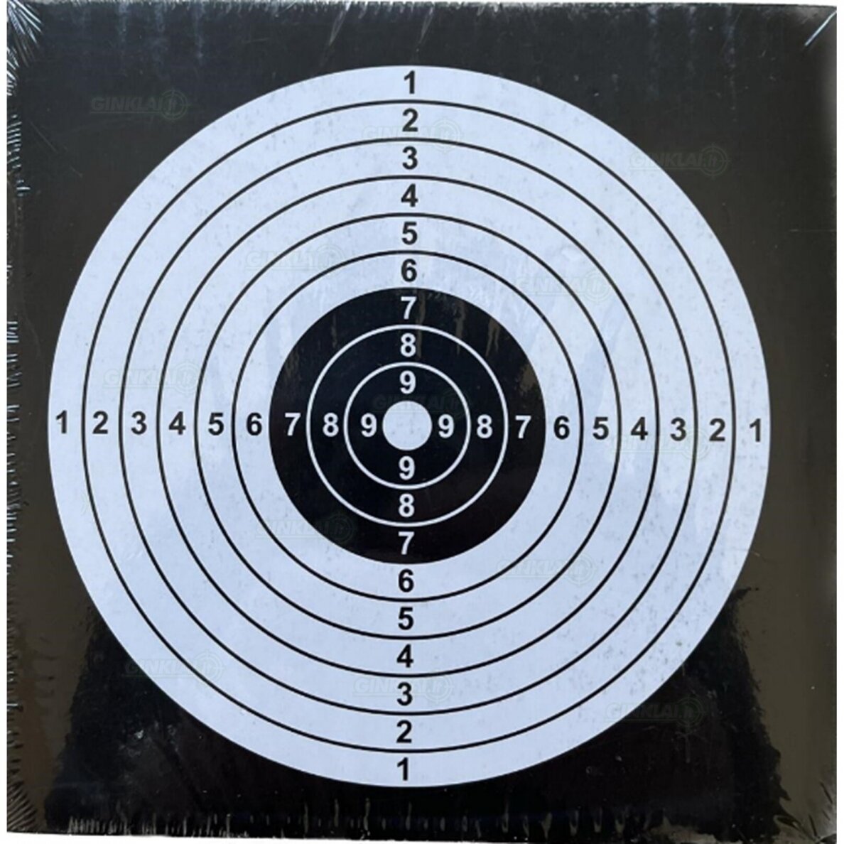 Taikiniai pneumatiniam pistoletui Remington 14x14 cm juoda/balta 100 vnt.